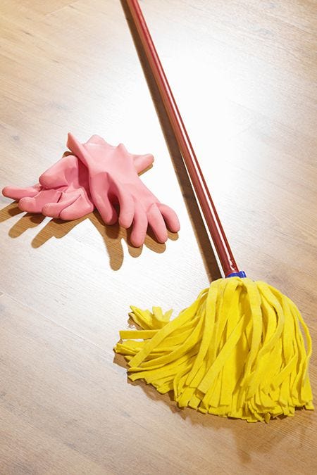 Professional Cleaning Service 