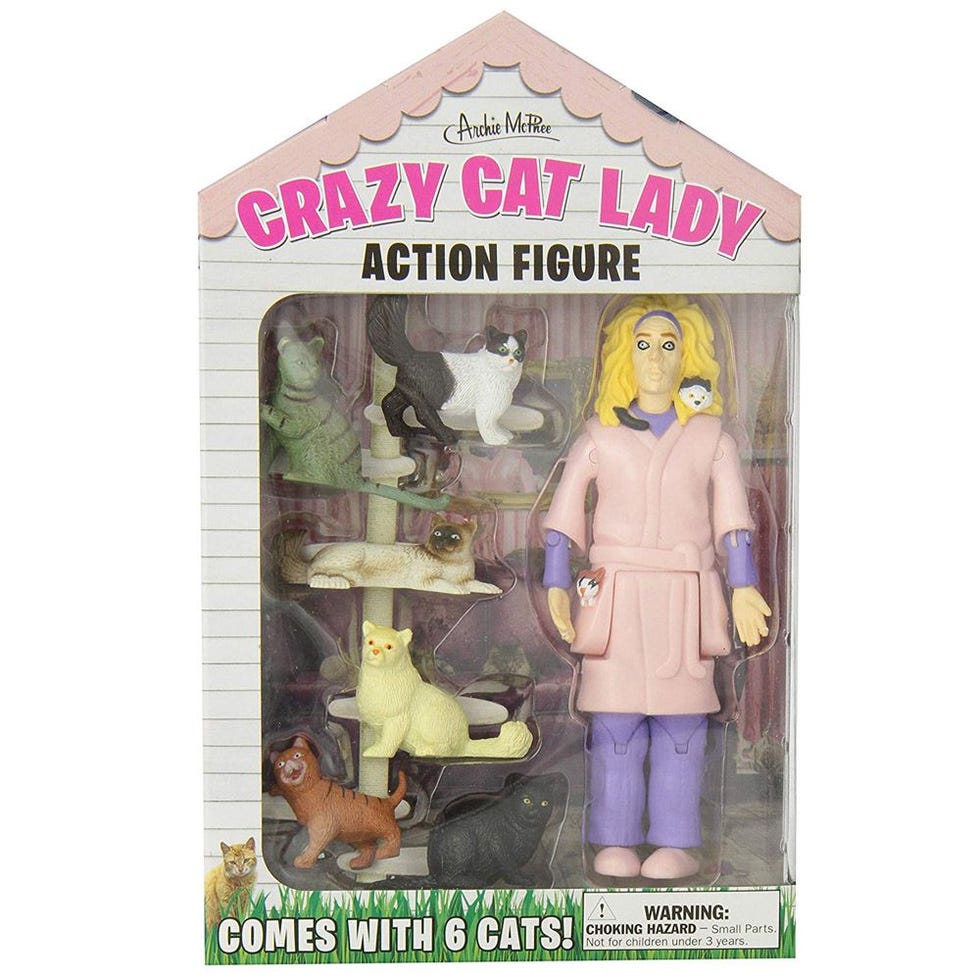 Crazy Cat Lady Action Figure