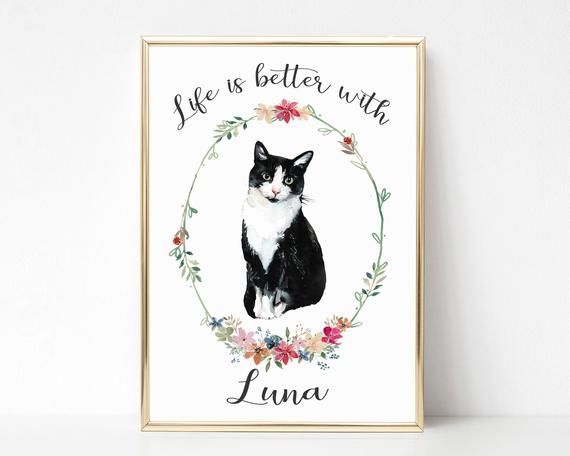 personalised gifts for cat lovers