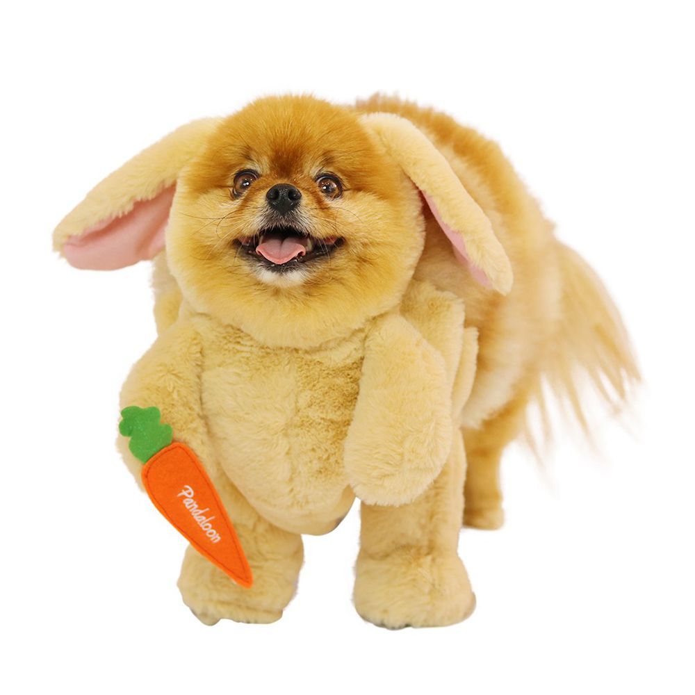 bunny dog outfit