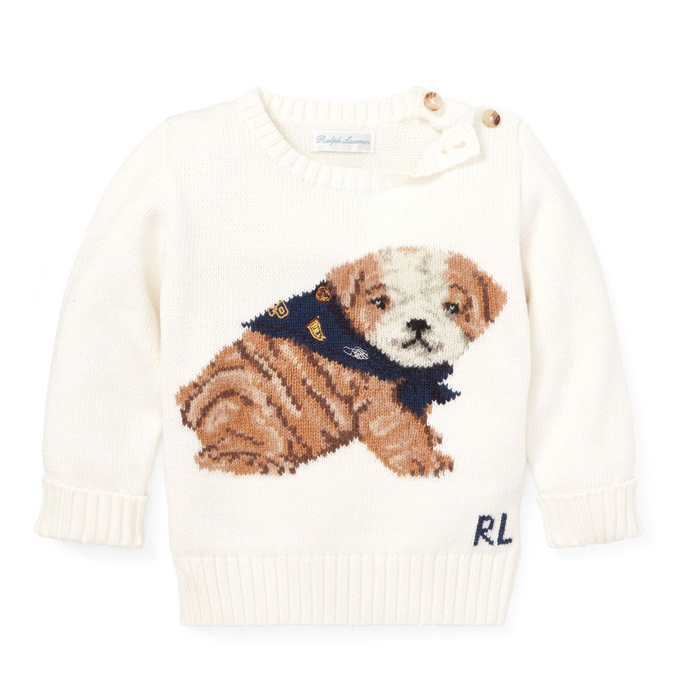 Dog Cotton-Blend Sweater