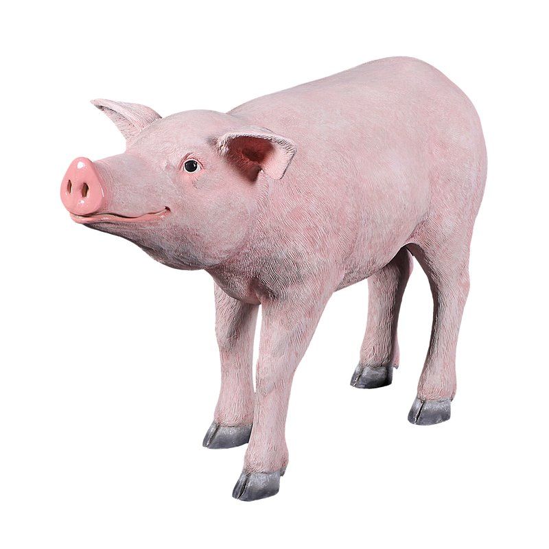 Porkchop the Pig