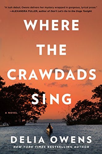 Best books summer 2019 npr