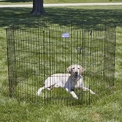 dog puppy pen