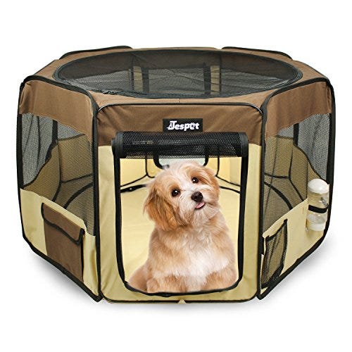 The 8 Best Indoor Dog Pens To Keep a Dog Safe