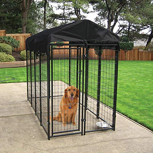 The 8 Best Indoor Dog Pens To Keep a Dog Safe