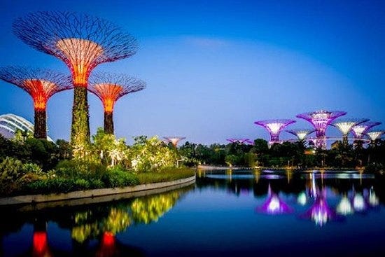 Singapore’s Gardens by the Bay Is a Real Life Floral Fantasy You Have ...