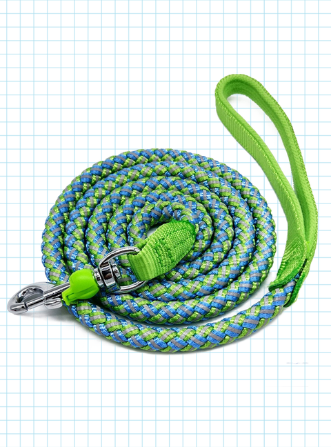 10 Best Dog Leashes Top Rated Leads For Big And Small Dogs