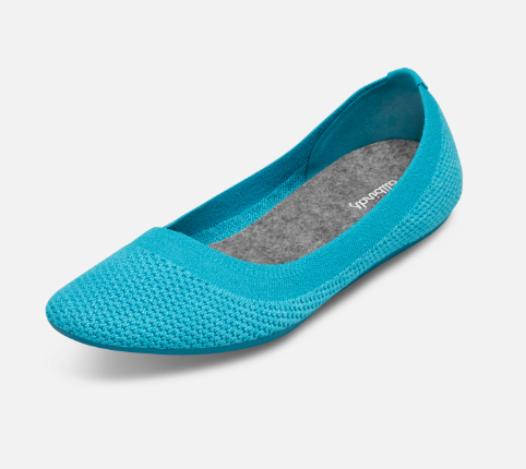 Allbirds tree breezers sold on sale out