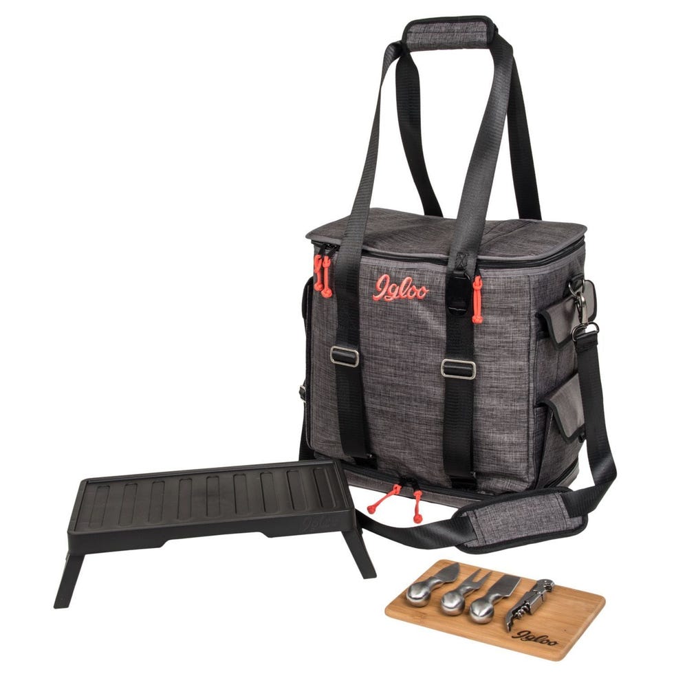 Daytripper Picnic Tote