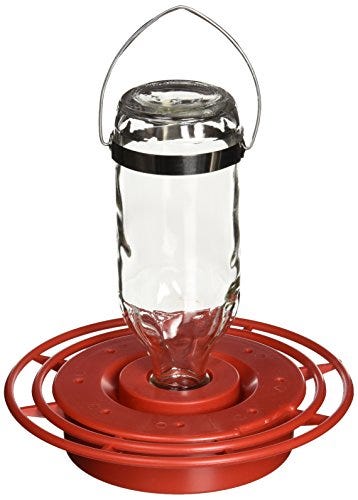 10 Best Hummingbird Feeders 2021 Hummingbird Feeders On Amazon 