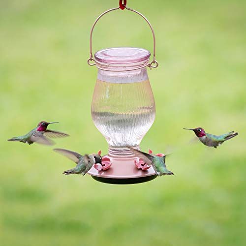 10 Best Hummingbird Feeders 2020 Hummingbird Feeders On Amazon