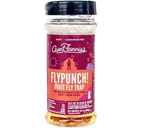 FlyPunch Non-Toxic Fruit Fly Trap