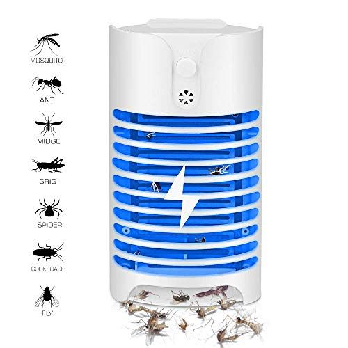 indoor insect killer