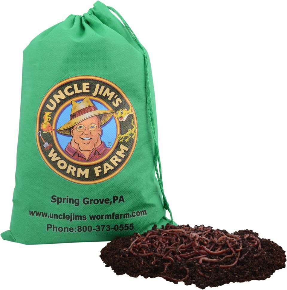 Red Composting Worms
