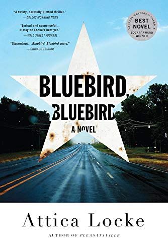 Bluebird, Bluebird (A Highway 59 Mystery)
