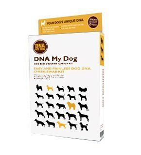 DNA My Dog Canine DNA Test