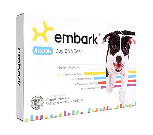 Best Dog DNA Tests of 2020 - Reviews of 