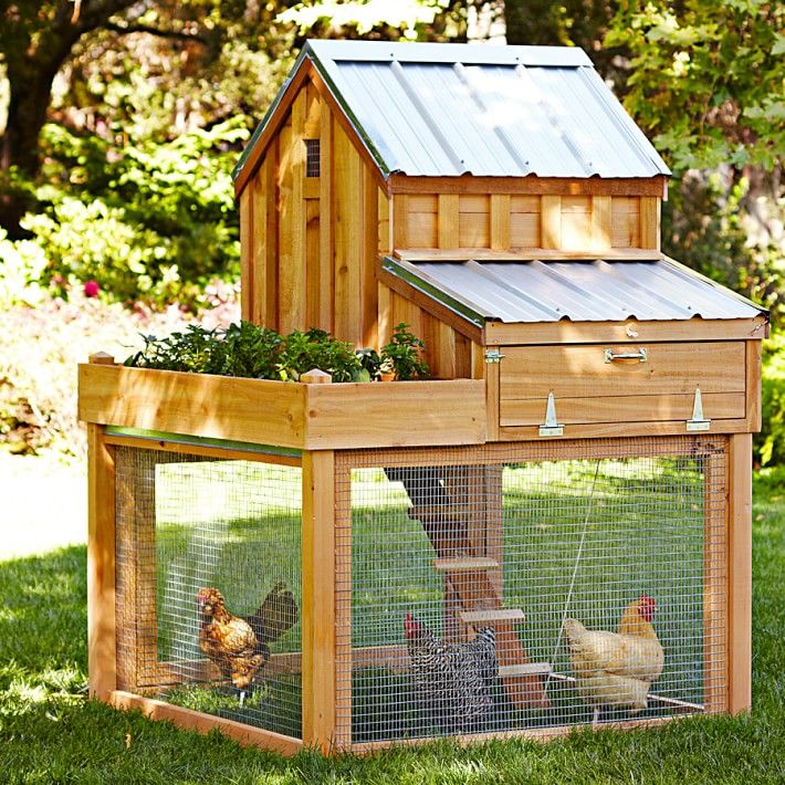 5+ Chicken Coop Mansions That Actually Look Like Guest Houses