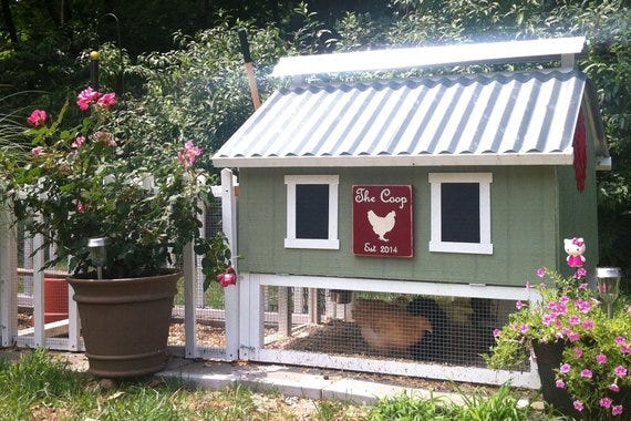 Wood Chicken Coop Kit
