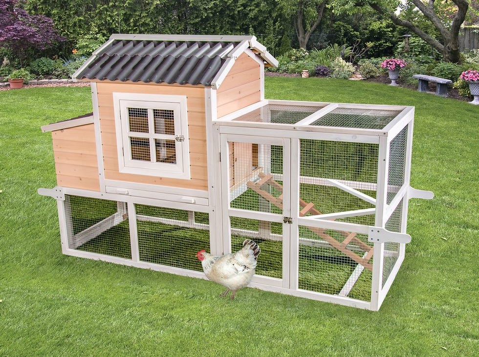 Etsy's HobbitHoles Sells Custom-Made Hobbit Home Chicken Coops