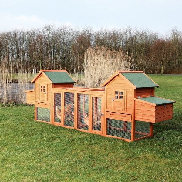 Chicken Coop Duplex