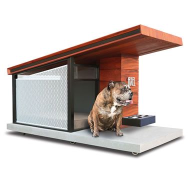 Canine Passive Solar Condominium