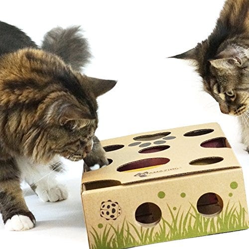 Interactive Treat Maze & Puzzle Feeder for Cats - Puzzle Cat Toy Suitable  for Various Cat Entertainment