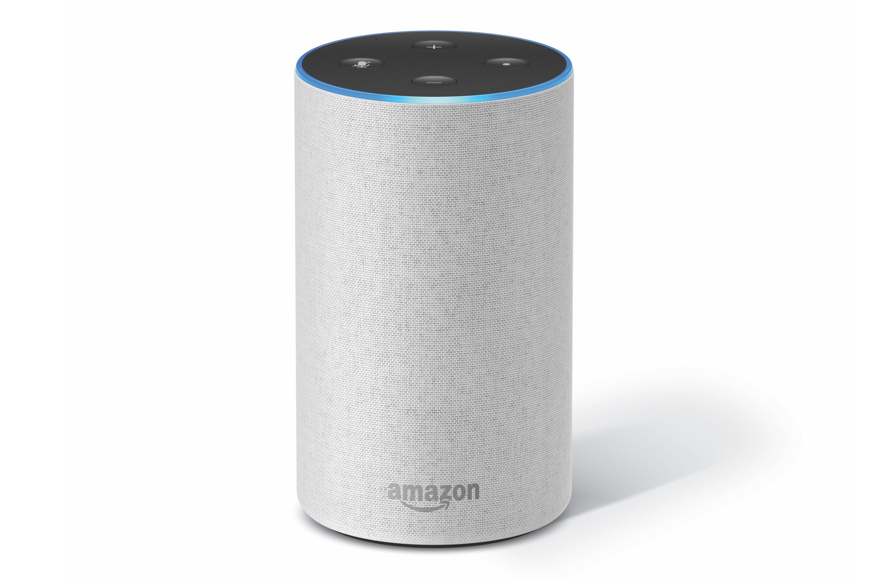 alexa compatible portable speakers