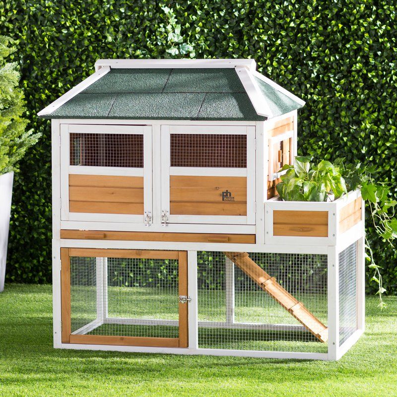 Chicken Coop With Herb Planter