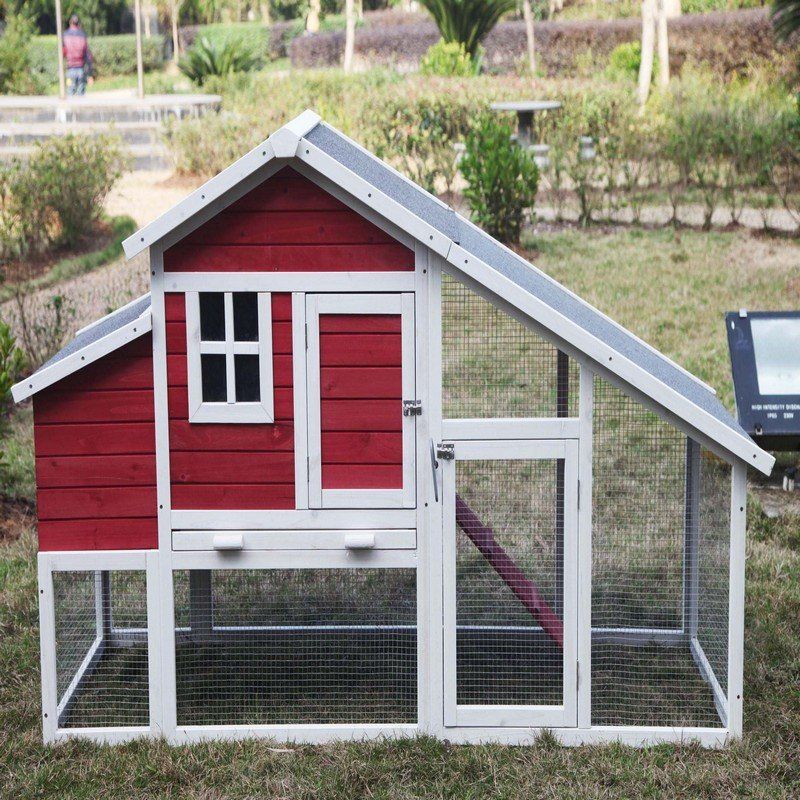 Multi Level Wooden Chicken Coop