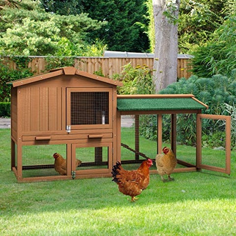 16 Best Chicken Coop Kits For Sale Cool Backyard Chicken Coops To Buy