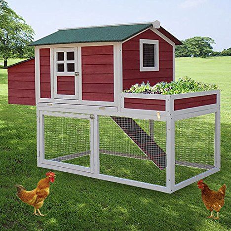 Wooden Chicken Coop With Poultry Hutch 