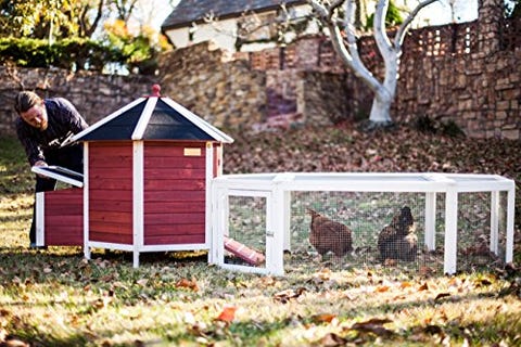 16 Best Chicken Coop Kits For Sale Cool Backyard Chicken Coops To Buy