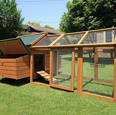 Pets Imperial Large Chicken Coop