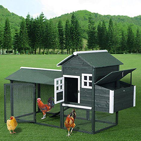 23 Best Chicken Coop Kits for Sale - Cool Backyard Chicken ...
