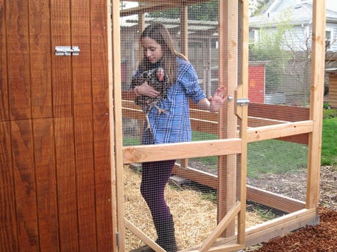 30 Diy Chicken Coops You Need In Your Backyard Diy Chicken Coop