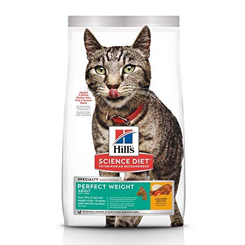 most popular cat food