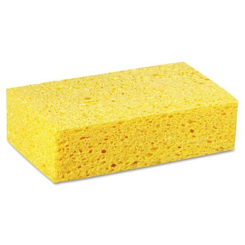 Large Sponges