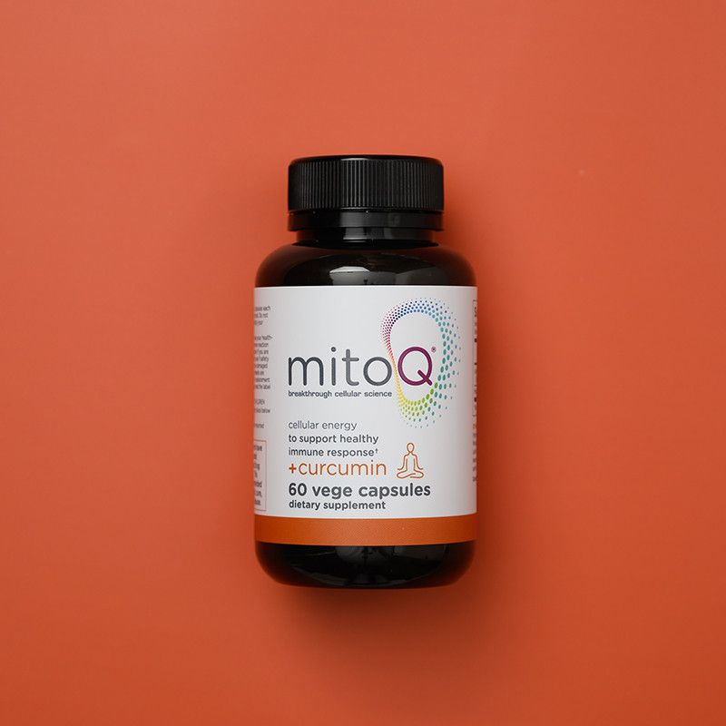 MitoQ +Curcumin