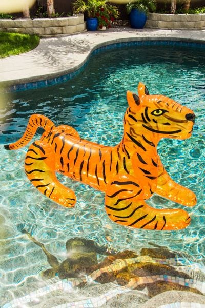 glitter tiger pool float