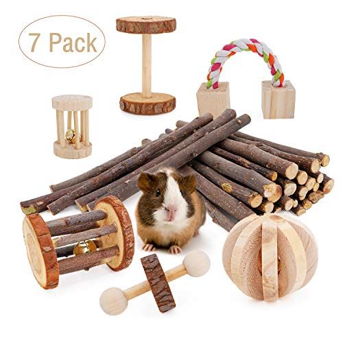 handmade guinea pig toys