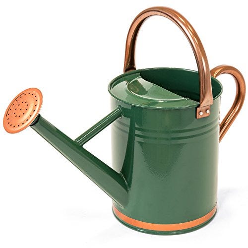 Galvanized Steel Watering Can