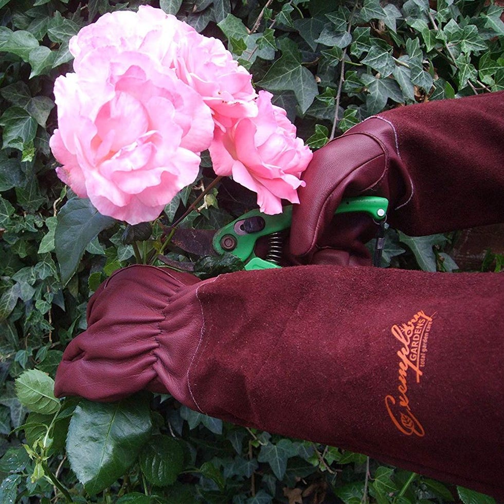 Leather Gardening Gloves