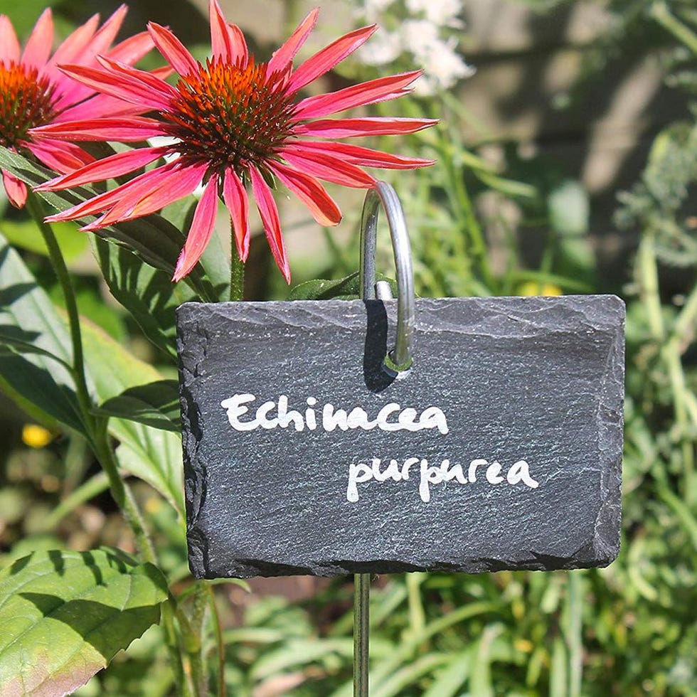 Slate Plant Labels