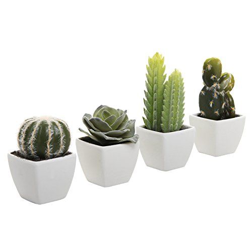 Artificial Mini Cactus Plants in Pots