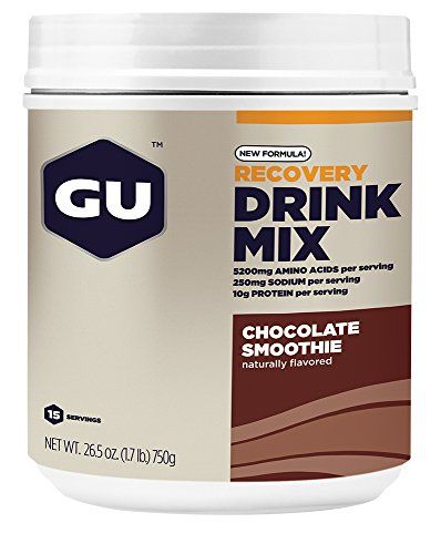 GU Energy Recovery Protein Drink Mix