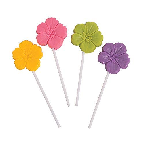  Hibiscus Suckers