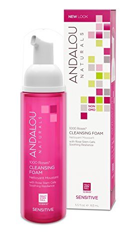Andalou Naturals 1000 Roses Cleansing Foam, 5.5 Ounce