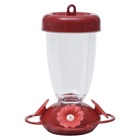 8 Best Hummingbird Feeders Top Rated Glass Red And Saucer